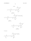 NUCLEOTIDE ANALOGS diagram and image