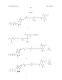 NUCLEOTIDE ANALOGS diagram and image