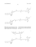 NUCLEOTIDE ANALOGS diagram and image