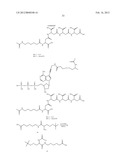 NUCLEOTIDE ANALOGS diagram and image