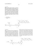 NUCLEOTIDE ANALOGS diagram and image