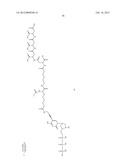 NUCLEOTIDE ANALOGS diagram and image