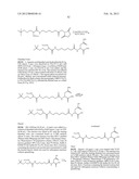 NUCLEOTIDE ANALOGS diagram and image