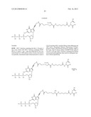 NUCLEOTIDE ANALOGS diagram and image