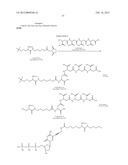 NUCLEOTIDE ANALOGS diagram and image