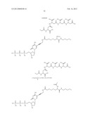 NUCLEOTIDE ANALOGS diagram and image