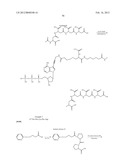 NUCLEOTIDE ANALOGS diagram and image