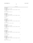 Polymorphism in CYP3A4 Gene Affecting Drug Metabolizing and Uses Thereof diagram and image