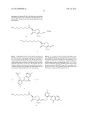 OPTICALLY-DETECTABLE ENZYME SUBSTRATES AND THEIR METHOD OF USE diagram and image