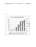 Novel Permanent Human Cell Line diagram and image