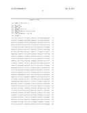 Novel Permanent Human Cell Line diagram and image