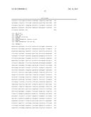 Novel Permanent Human Cell Line diagram and image