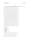 PLASMID SYSTEM FOR MULTIGENE EXPRESSION diagram and image