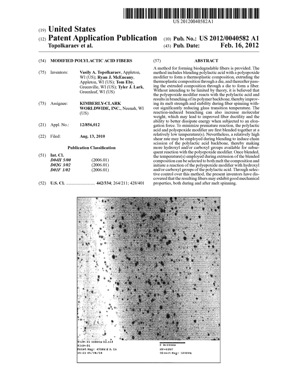 Modified Polylactic Acid Fibers - diagram, schematic, and image 01