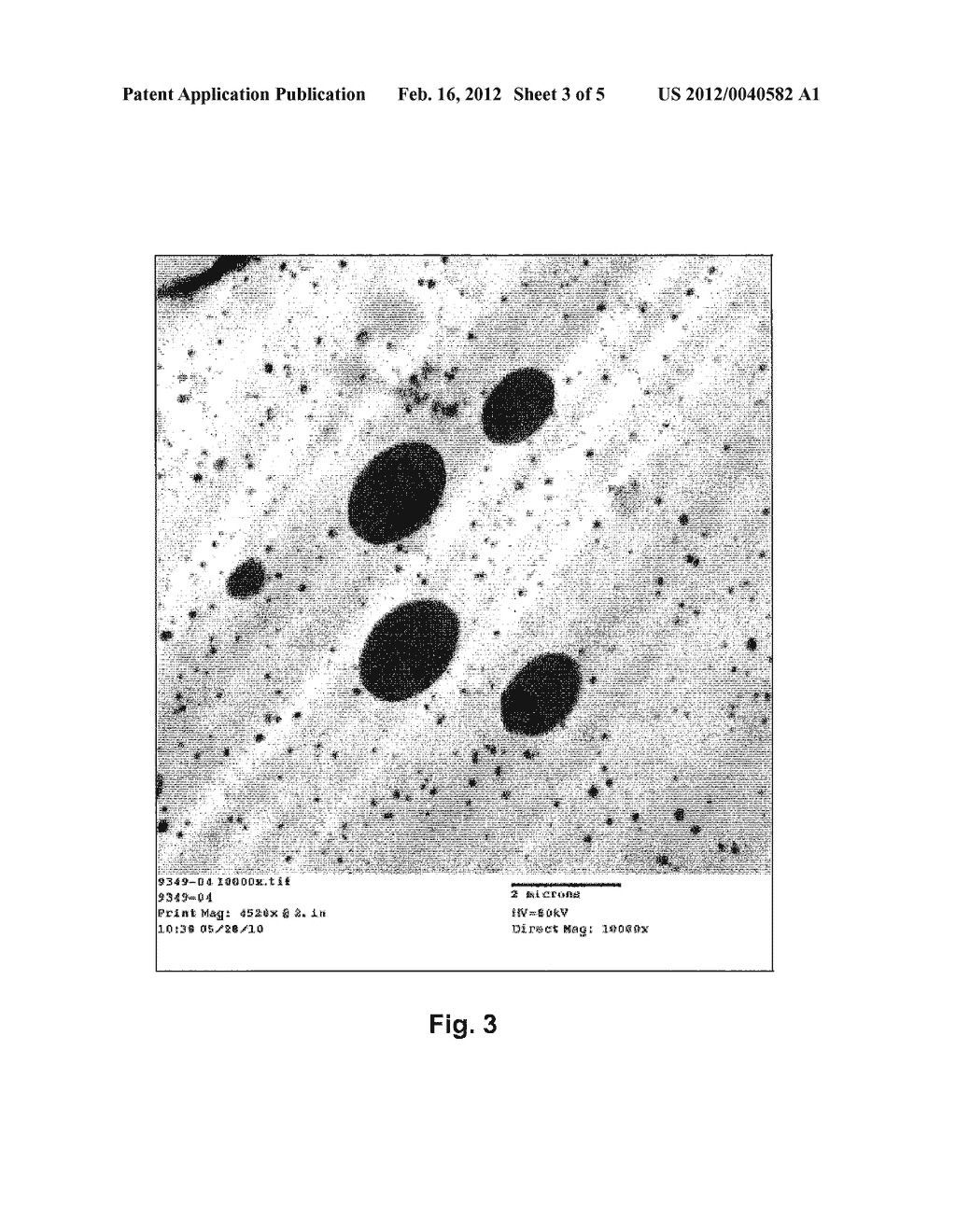 Modified Polylactic Acid Fibers - diagram, schematic, and image 04