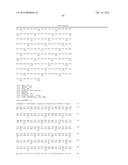 MOLECULAR SIGNATURE OF LIVER TUMOR GRADE AND USE TO EVALUATE PROGNOSIS AND     THERAPEUTIC REGIMEN diagram and image