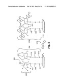 PREPARING CARBOHYDRATE MICROARRAYS AND CONJUGATED NANOPARTICLES diagram and image