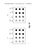 PREPARING CARBOHYDRATE MICROARRAYS AND CONJUGATED NANOPARTICLES diagram and image