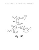 PREPARING CARBOHYDRATE MICROARRAYS AND CONJUGATED NANOPARTICLES diagram and image