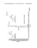 PURINE NUCLEOSIDE MONOPHOSPHATE PRODRUGS FOR TREATMENT OF CANCER AND VIRAL     INFECTIONS diagram and image