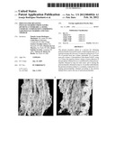 Process For Obtaining Polysaccharides From Jatoba (Hymenea Courbaril L)     Seeds, Cosmetic Composition Comprising Said Polysaccharides And Uses     Thereof diagram and image