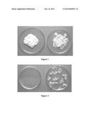 MEDICINAL ANTIFUNGAL AND STEROID CREAM INCORPORATING A BIOPOLYMER AND A     PROCESS TO MAKE IT. diagram and image