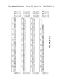 GLUCOCORTICOID RECEPTOR ALLELES AND USES THEREOF diagram and image