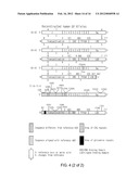 GLUCOCORTICOID RECEPTOR ALLELES AND USES THEREOF diagram and image