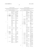 GLUCOCORTICOID RECEPTOR ALLELES AND USES THEREOF diagram and image