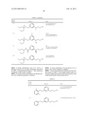 AMINE DERIVATIVE COMPOUNDS FOR TREATING OPHTHALMIC DISEASES AND DISORDERS diagram and image