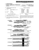 COMPOSITE POLYNUCLEIC ACID THERAPEUTICS diagram and image