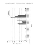 NUCLEIC ACIDS SPECIFICALLY BINDING WITH HUMAN FACTOR VII/VIIA AND USES     THEREOF diagram and image