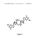 SYNTHESIS AND CHARACTERIZATION OF C8 ANALOGS OF c-di-GMP diagram and image