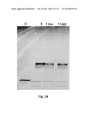 BIOACTIVE COMPOSITIONS FROM THEACEA PLANTS AND PROCESSES FOR THEIR     PRODUCTION AND USE diagram and image