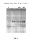 BIOACTIVE COMPOSITIONS FROM THEACEA PLANTS AND PROCESSES FOR THEIR     PRODUCTION AND USE diagram and image