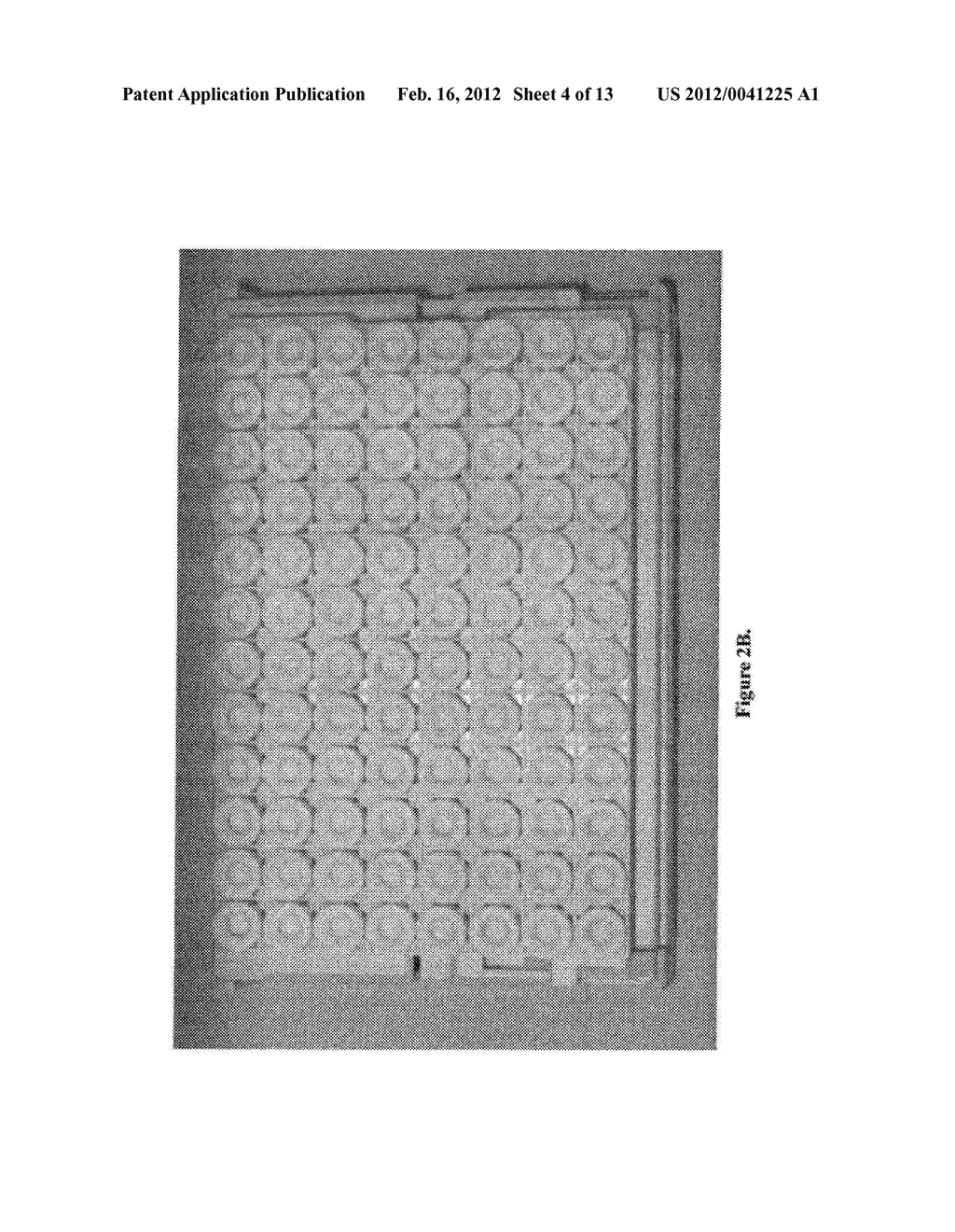 KIT FOR AUTOMATED RESOLVING AGENT SELECTION AND METHOD THEREOF - diagram, schematic, and image 05