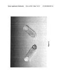 KIT FOR AUTOMATED RESOLVING AGENT SELECTION AND METHOD THEREOF diagram and image