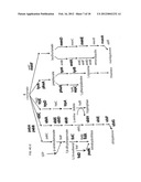 COMPOSITIONS AND METHODS FOR 3-HYDROXYPROPIONATE BIO-PRODUCTION FROM     BIOMASS diagram and image