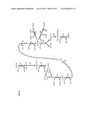 COMPOSITIONS AND METHODS FOR 3-HYDROXYPROPIONATE BIO-PRODUCTION FROM     BIOMASS diagram and image