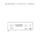 COMPOSITIONS AND METHODS FOR 3-HYDROXYPROPIONATE BIO-PRODUCTION FROM     BIOMASS diagram and image