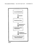 COMPOSITIONS AND METHODS FOR 3-HYDROXYPROPIONATE BIO-PRODUCTION FROM     BIOMASS diagram and image