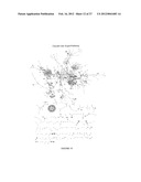 Pathway recognition algorithm using data integration on genomic models     (PARADIGM) diagram and image