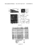 Pathway recognition algorithm using data integration on genomic models     (PARADIGM) diagram and image