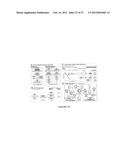 Pathway recognition algorithm using data integration on genomic models     (PARADIGM) diagram and image