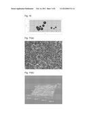 SEMICONDUCTOR HEAT TREATMENT MEMBER HAVING SIC FILM diagram and image