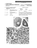 TREATMENT OF MOLECULAR SIEVE PARTICLES FOR MIXED MATRIX MEMBRANES diagram and image