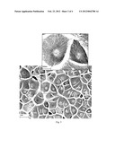 TREATMENT OF MOLECULAR SIEVE PARTICLES FOR MIXED MATRIX MEMBRANES diagram and image