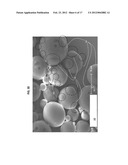 PARTICLES WITH CHARGED SURFACE DOMAINS diagram and image