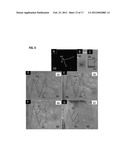 PARTICLES WITH CHARGED SURFACE DOMAINS diagram and image