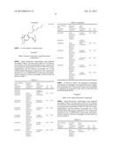 LIQUID FLUORESCENT COMPOSITION AND LIGHT EMITTING DEVICE diagram and image